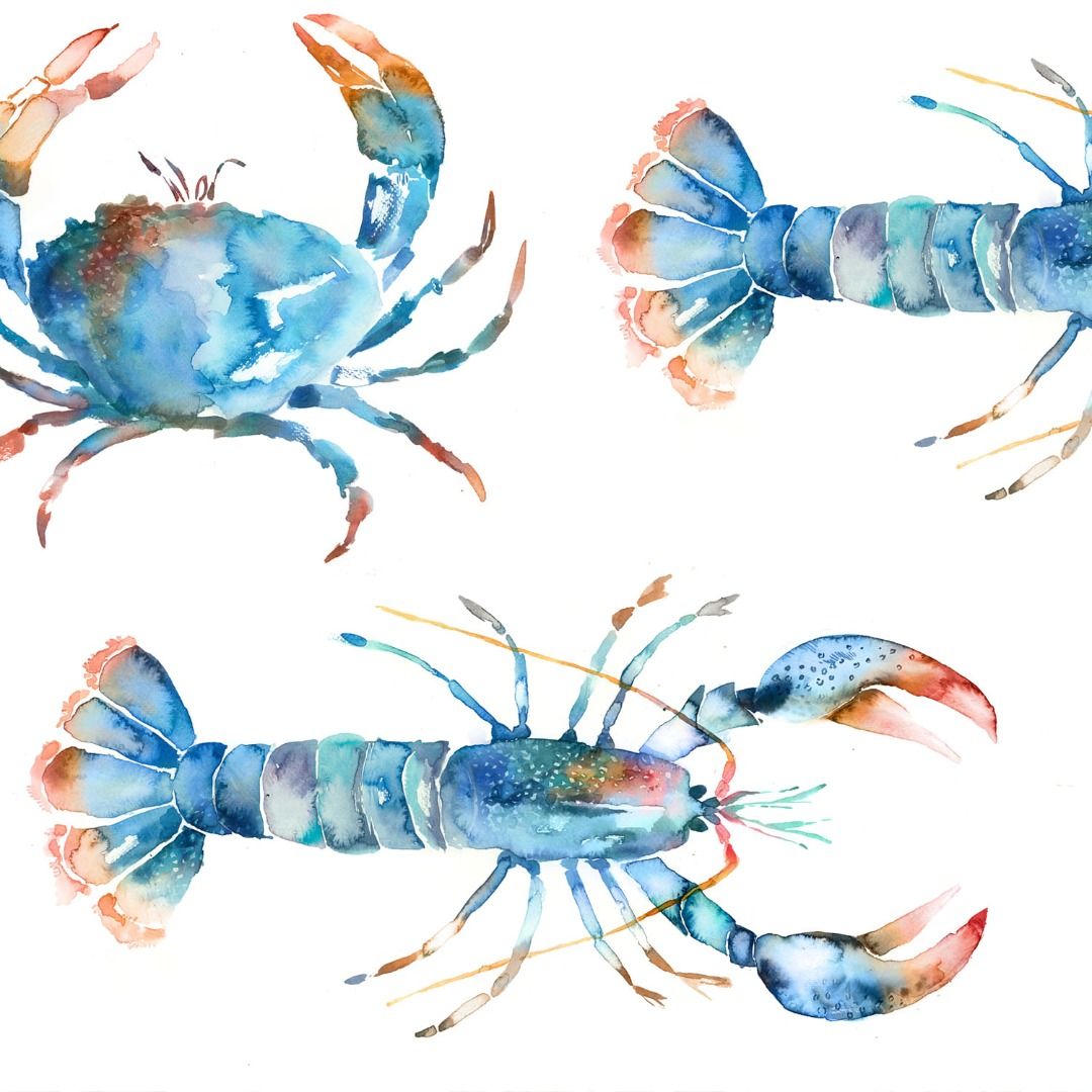 Crustaceans in Cobalt by Voyage Maison Curtain Fabric Store